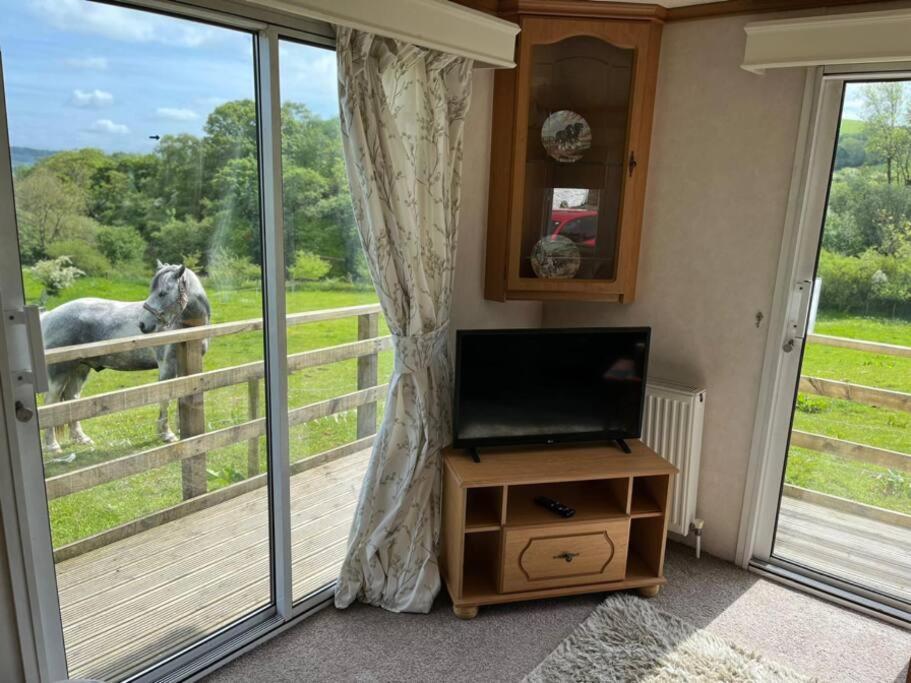 Farm Stay Caravan On Working Farm Dacre  Exterior photo